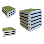 Baklava Tepsi Kenarı